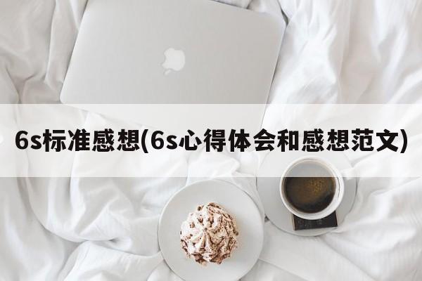 6s标准感想(6s心得体会和感想范文)